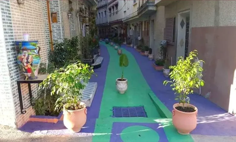 مشروع ضخم.. رصد 10 ملايين درهم لتجميل شوارع طنجة