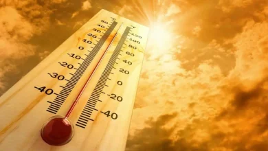 الطقس غدا الأحد.. أجواء حارة نسبيا ورياح قوية في بعض المناطق