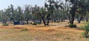 السلطات المحلية تُكثف جهودها لتنظيف وتأمين غابة سيدي عميرة(صور) 4 تنظيف وتأمين غابة سيدي عميرة
