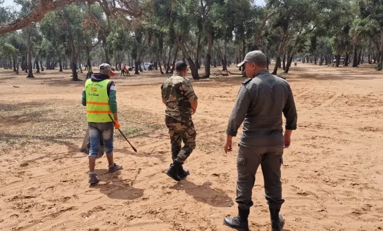 تنظيف وتأمين غابة سيدي عميرة