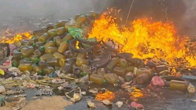 تارودانت: إتلاف كميات كبيرة من زيت الزيتون "المغشوش"