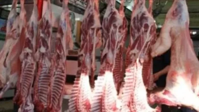 عودة أسعار اللحوم الحمراء إلى طبيعتها بعد اختفاء “تجار الأزمات”