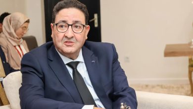قيوح يبحث مع سفيرة الاتحاد الأوروبي سبل تطوير التعاون في النقل واللوجستيك