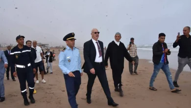 عامل إقليم تزنيت ينزل إلى شاطئ أكلو لتفقد جاهزيته لاستقبال المصطافين